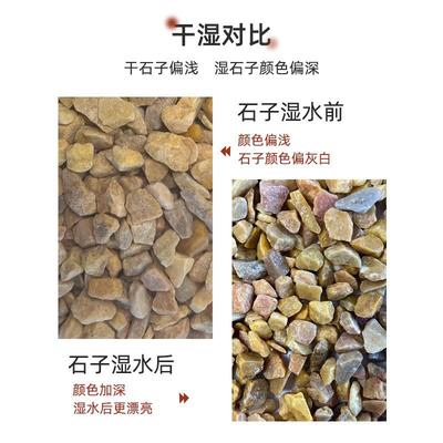 米黄砾造透景石石水磨石洗米石黄水433骨料黄石子园林绿化装饰米