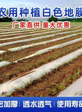 白色透农用加厚膜小拱专用菜地明保温膜冬天塑料布大棚防棚HAL冻
