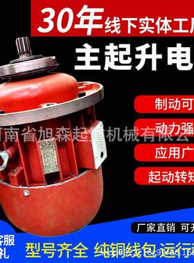 电动葫芦主起升电机ZD7.5KW锥形3.0/13KW380v起重机行车南京电机