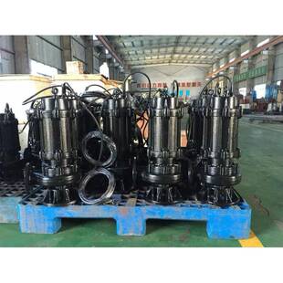 上海青浦区生产50WQ10-10-0.75潜水无堵塞排污泵