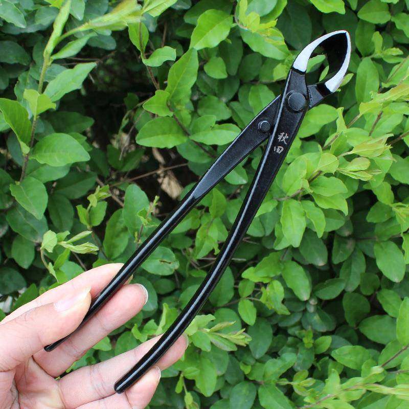 秋复田合钢口钳叉XPP枝剪修剪工侧枝盆景造型斜制作专业具量大从,鲜花速递/花卉仿真/绿植园艺,园艺用品套装,淘宝优惠券,粉丝福利购,淘宝优惠卷
