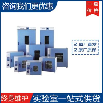 上海一恒电热鼓风干燥箱DHG-9030/DHG-9030A直发