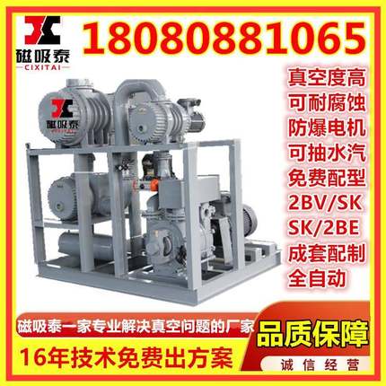 水环罗茨真空机组JZJ2S300-4.2.1系统ZJP300-70-30真空泵2SK-1.5