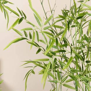 新中式仿真风竹子假竹子绿竹盆栽室内院装饰盆庭景屏造景仿真绿植