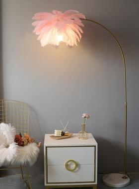 羽毛钓落地灯in少女卧室客厅沙发立式直灯s遥控调光升98032鱼降网