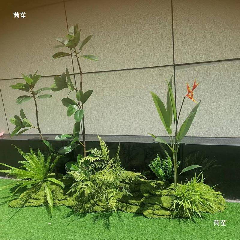 柔软布毛藓地面铺陈青苔景观植物造遮底苔盖MLP绿景植部美陈毛块