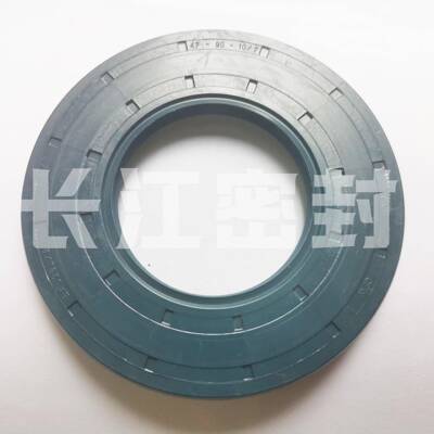 德国CFW进口骨架油封NDIN37B60-AU100-1BCAI20-10R