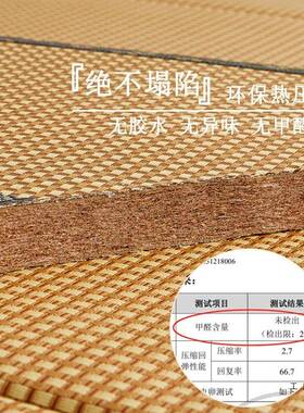 垫榻榻米床垫可定制椰棕垫硬垫家用F99J6SJ9卧室飘窗台藤席面可折