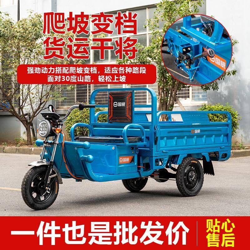 国威电动三轮车GW1800DZ货车8载重王1.米人成人货拉农用家用老快