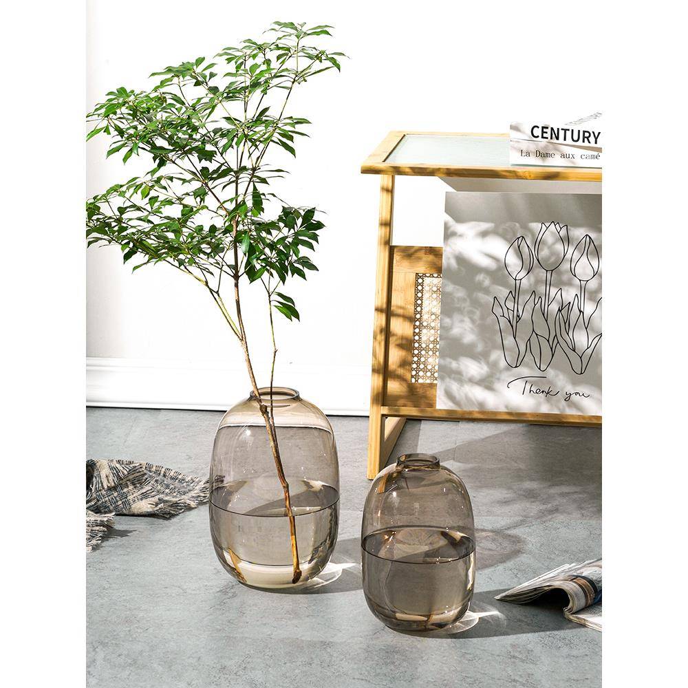 JC-XYY醉感花瓶件玻璃水培吊钟柳马摆木水养插花鲜花客厅落地装雪