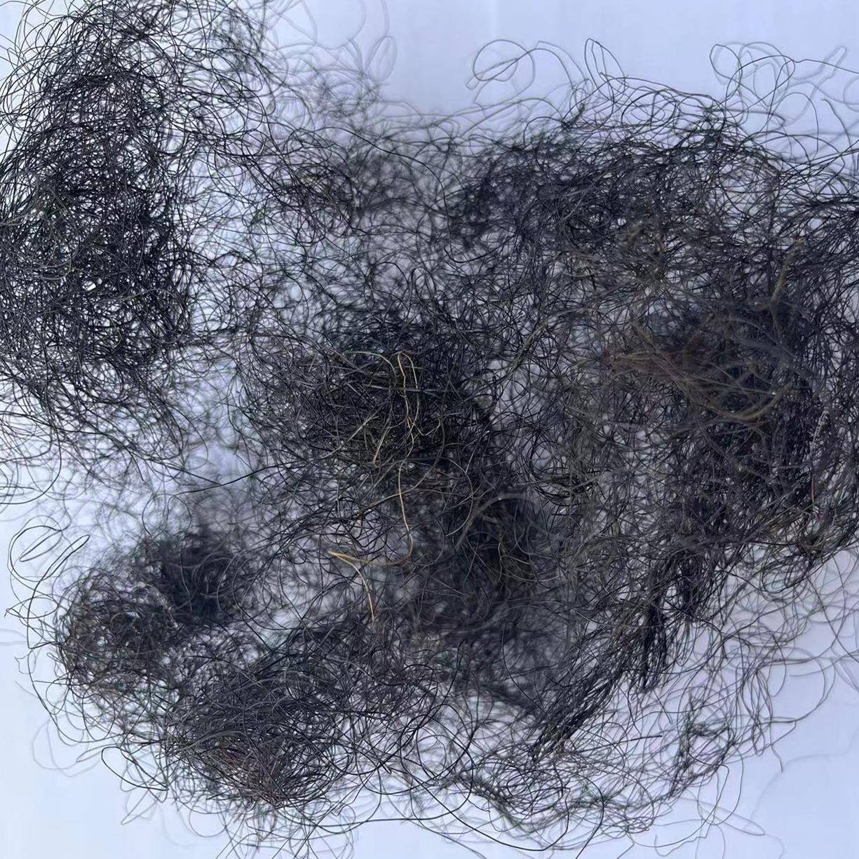 厂直供卷曲马家毛充床垫沙发枕头可用黑色白MEI色棕填色马尾毛