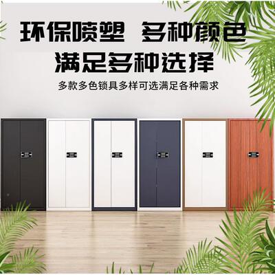保纹密柜钢制子密文件电柜指电子财务办公档案HY-BMG保柜资料柜生