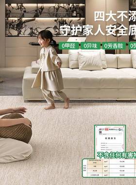 可拆洗地毯客厅新防水kcx14825防污可洗轻高级感家用卧奢室沙发地
