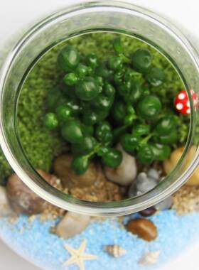 意礼创品礼苔藓微景观木塞带灯生态瓶装套tz-20181斜物口瓶植物成