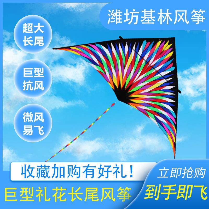 展示风筝比赛风筝6平礼花伞布微风易飞风筝大人风筝轮