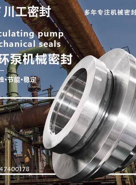 碳化硅密封件700DT-A83800DT-A904/2VSF-30DN水冷式机械密封