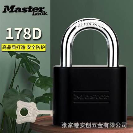 玛斯特码挂锁铜178D门锁家用防锁锈防雨防盗长梁户外大178密D防撬