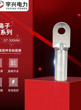 铜线鼻子接线端子DT-300mm接线端子铜接头电线电缆铜线耳铜鼻子
