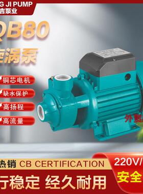 QB60漩涡自吸清水泵高扬程220v110v家用小型水井抽水自吸泵