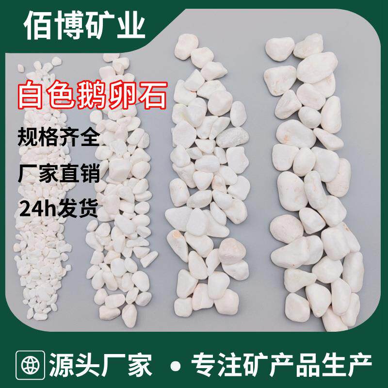 供应白色鹅卵石庭院装饰花盆铺面水族造景用白石子各种包装