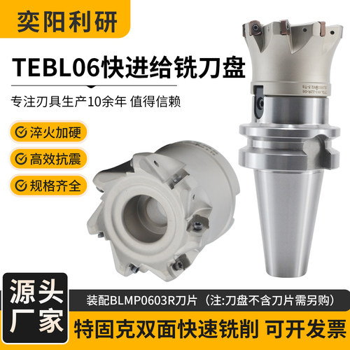 TEBL06快进给双面铣刀盘