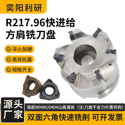 R217.96快进给铣刀盘
