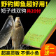 高端野钓防缠绕绑好 钩短款 细 鱼钩成品鲫鱼钩袖 超短子线双钩金袖