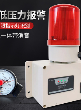 压力报警器空压机气压水压油压高低压真空负压声光报警器RZA-61