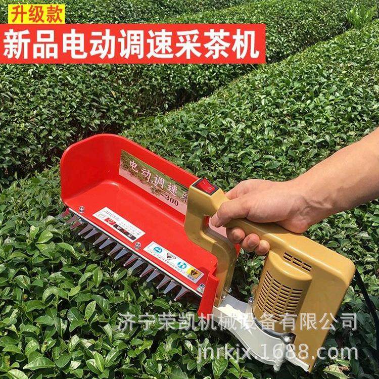 仿手工摘茶机单人型 茶园采茶电动工具 充电摘茶采茶机厂家