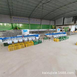 鸡爪凤爪全自动重量分选流水线设备白条鹅白条鸡自动称重分拣机