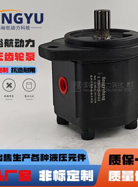 Hengyuhang压力齿轮泵萨拉米油泵SALAMI液压泵2.5PB22D-GX55S3泵