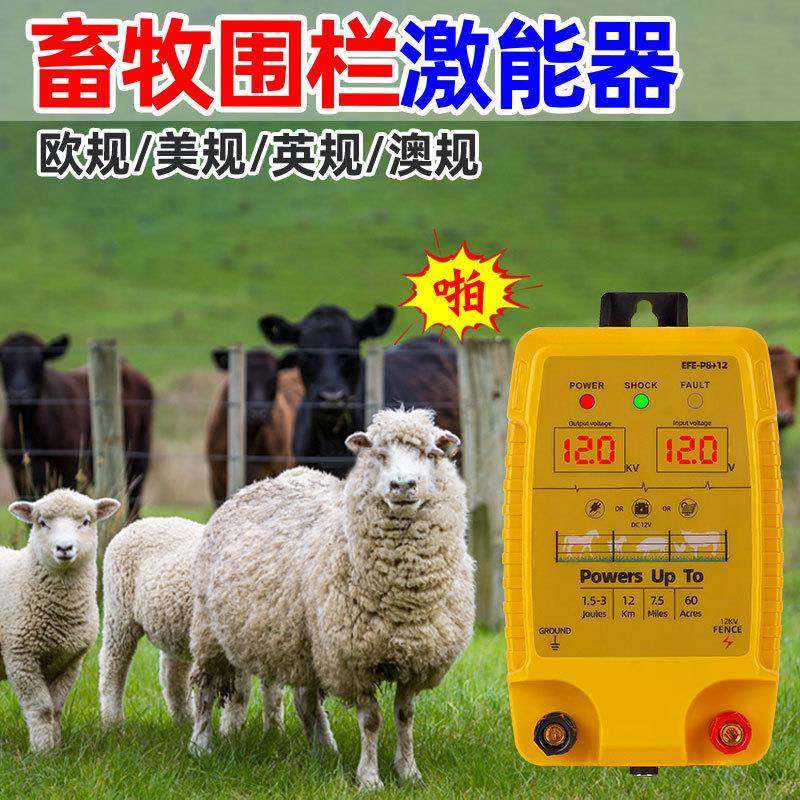 牧养电子围畜栏围栏防护网殖全套电系统牧场养牛羊猪高压脉冲EFE-