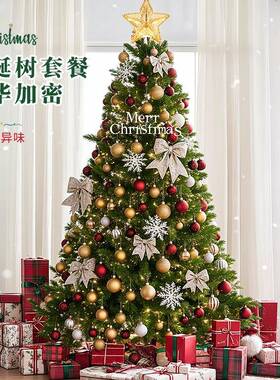 用圣诞树客厅i摆件2025款di新y圣诞74SD=ZH0节装饰品ns风家高级感