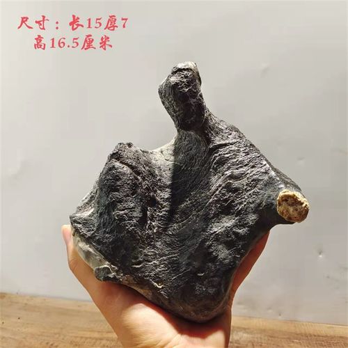 天然石灵璧石盆景石 鱼缸造景 龟纹石 根抱石 花盆造景  盆景石料