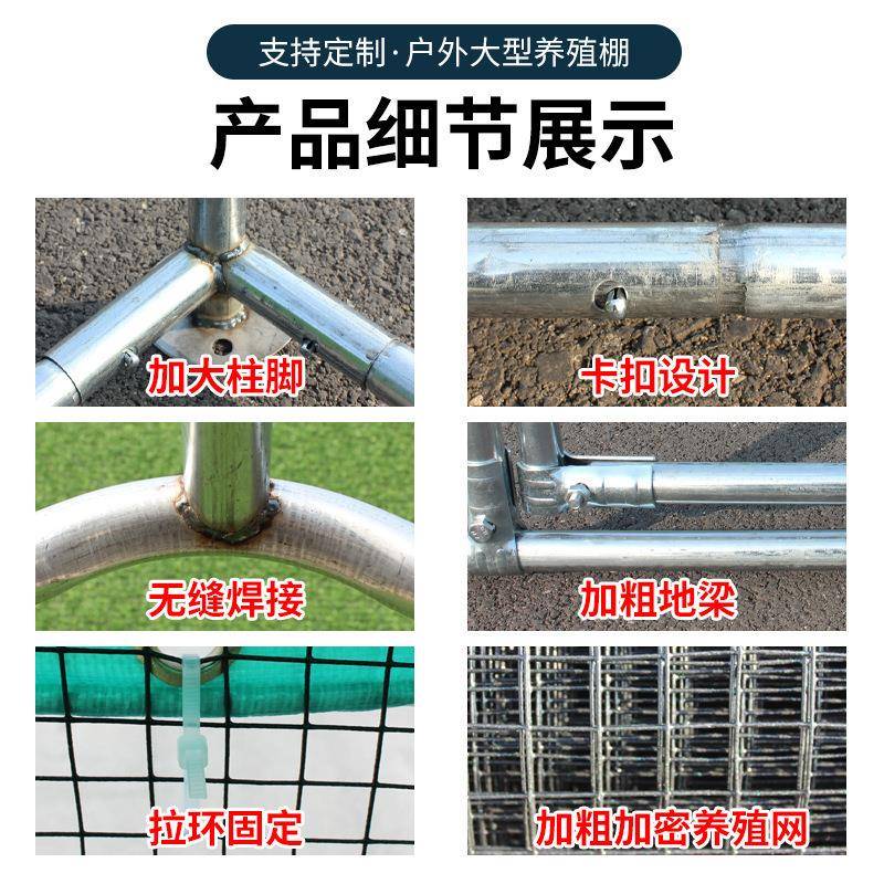 户外鸡棚鸡鸡笼子养鸽鸭笼家禽大遮型孔雀篷雨鸡SXR舍搭建家用养