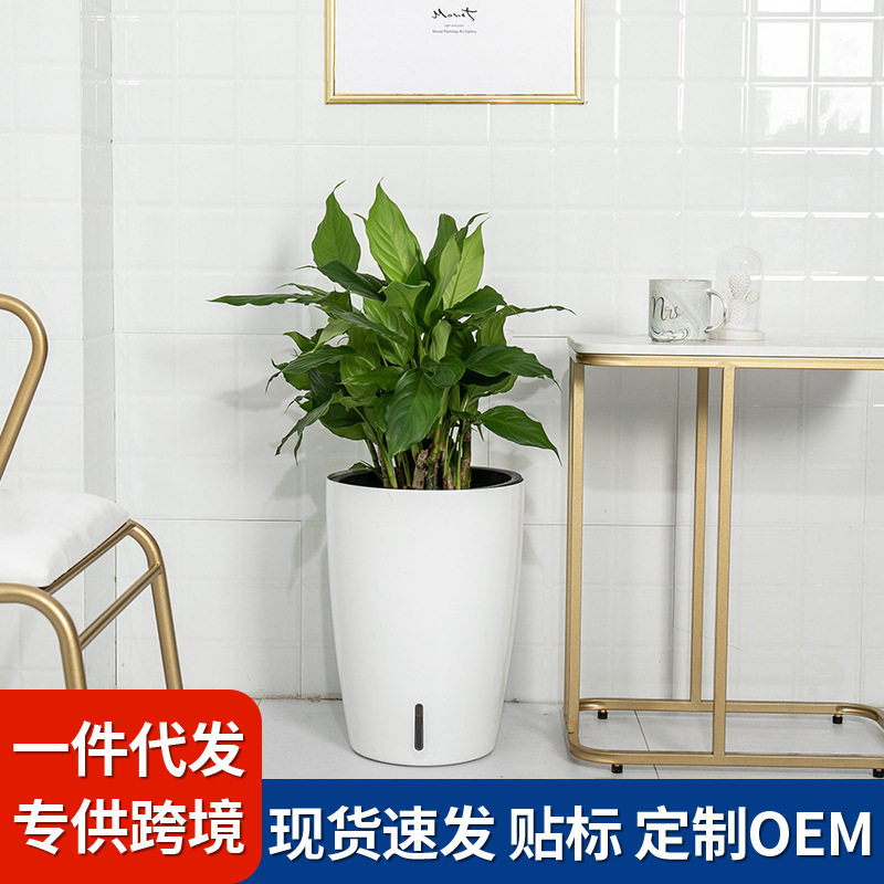 烤漆租摆系列组合懒人自吸水免浇灌阳台客厅室内落地式绿植盆