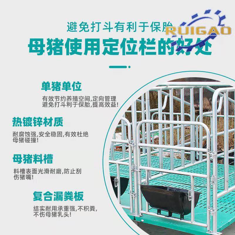母猪限位栏位栏FPR猪落地式定设加厚用养猪备镀锌管带复合板产床