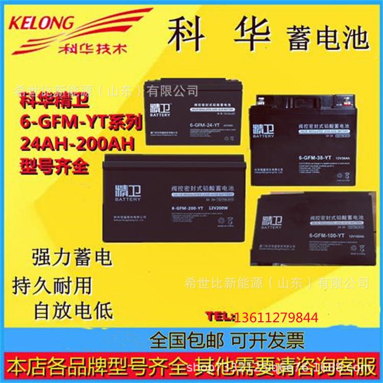 精卫蓄电池6-GFM-250-YT12V250AH中继站/电视转播站/微波站备用