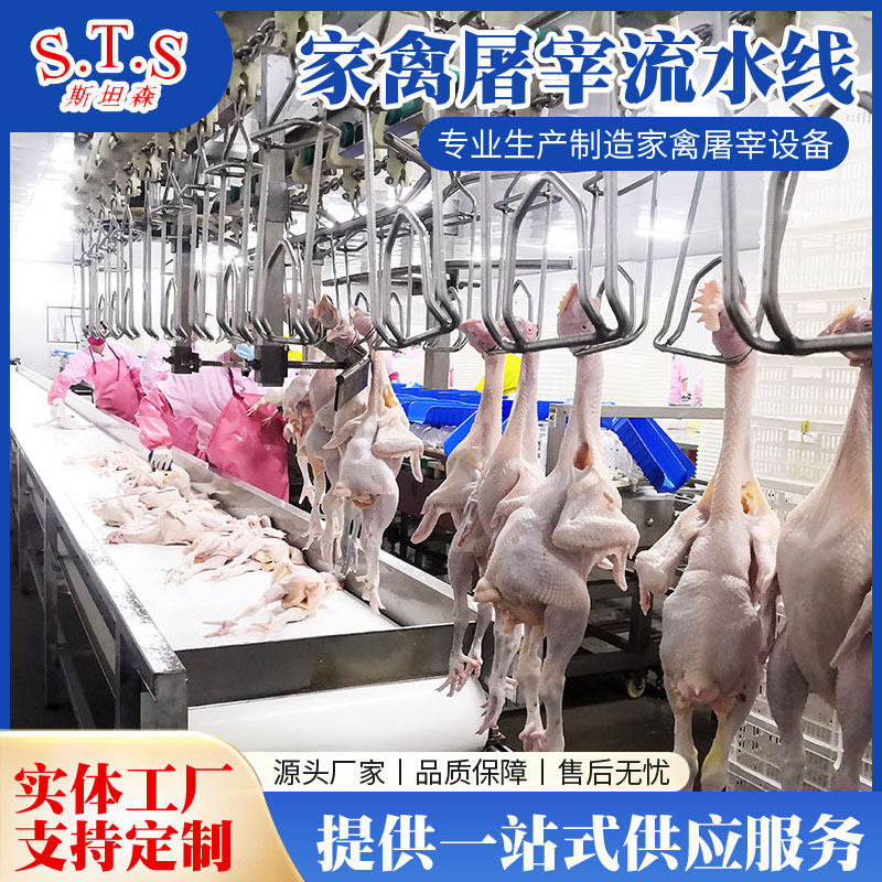 屠宰鸡的设备杀鸡流水线厂家全自动鸡鸭鹅家禽屠宰设备