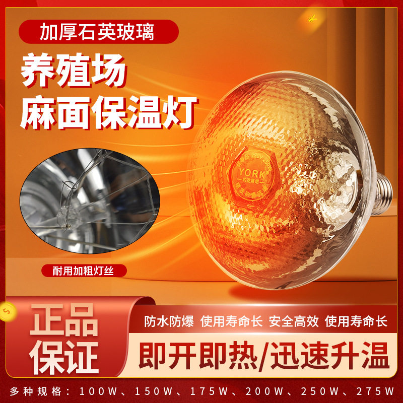 约克（YORK）养殖用保温灯猪场保温灯泡红外线取暖灯仔猪耐用速热