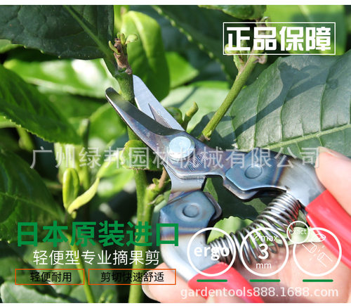 爱丽斯ARS300L/310长嘴摘果水果剪果蔬稀果采摘剪刀翘头