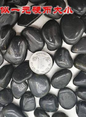 原厂地黑色抛光饰鹅卵铺石雨花路石LBZ石头五彩石黑色装造景石头