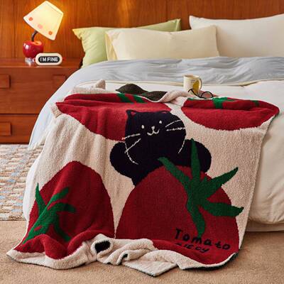 半VLL边绒多能盖毯子旅休闲保秋冬沙发功毯家居装饰行暖毯子可爱