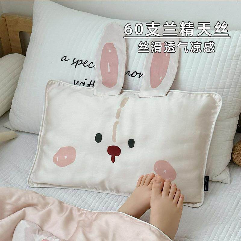 A类60DTW支儿童天丝枕套感儿园枕头套幼夏凉冰丝卡季通宝宝乳胶可