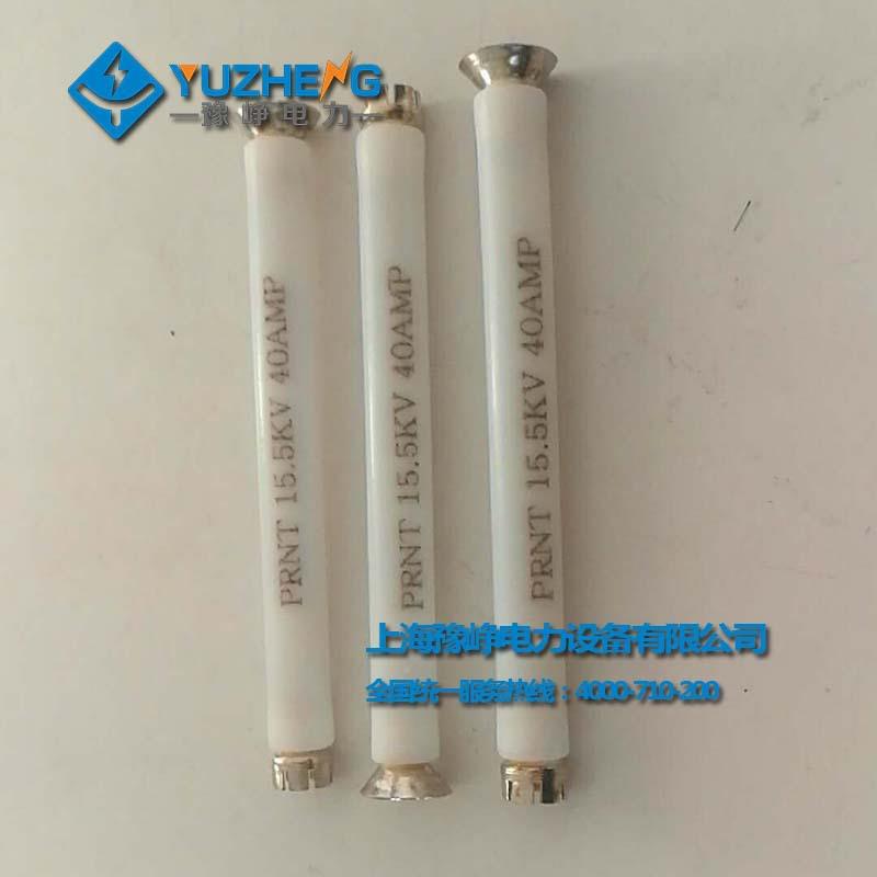 油浸式P美式变压器护后备熔保断器RNTRSP-1G5.5KV底座ZR3