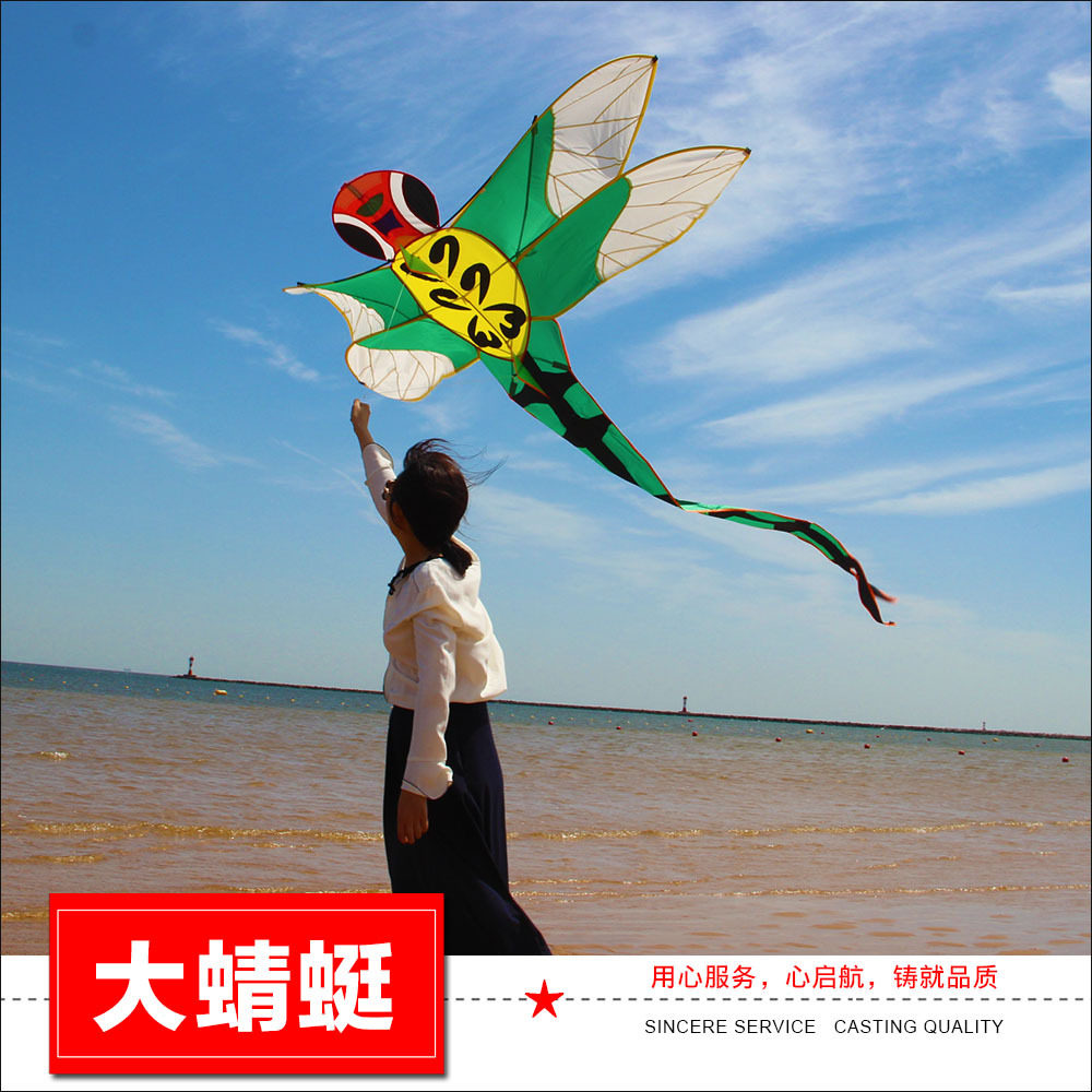 2019潍坊新款成人大型蜻蜓风筝