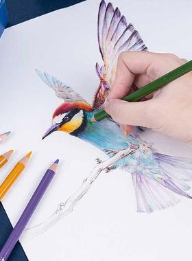 rrtx阿泰诗48/72126色油/性彩铅美术画用画A专彩铅笔手YSP绘专业