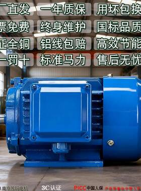 YE380M/90/100L/112/21/160/180/200/225/YJO250-2/4/6S/8级3电动