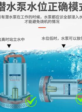 直潜流水V泵12V2448V60V72抽水泵农V用抽水机灌溉LBI家用