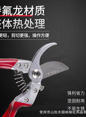 V9园林工具户剪树枝修枝格剪林修枝剪外多规果树枝剪树枝XVQ园剪